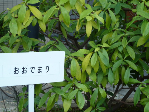 f0166694_10402776.jpg