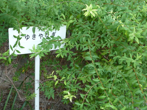 f0166694_10415157.jpg