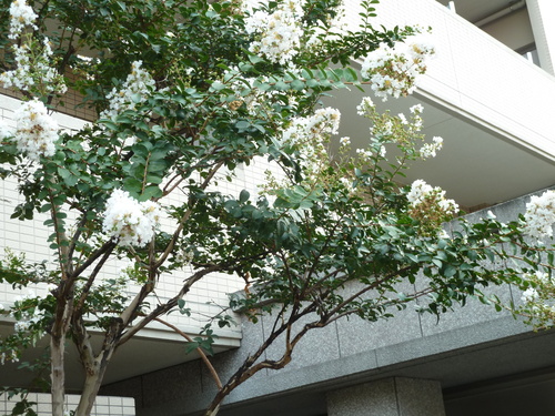f0166694_10434155.jpg