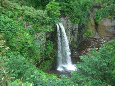 e0180796_645241.jpg