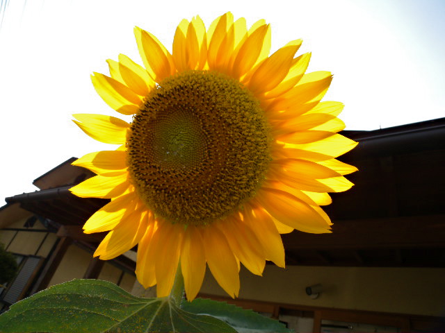 a0199297_16334556.jpg