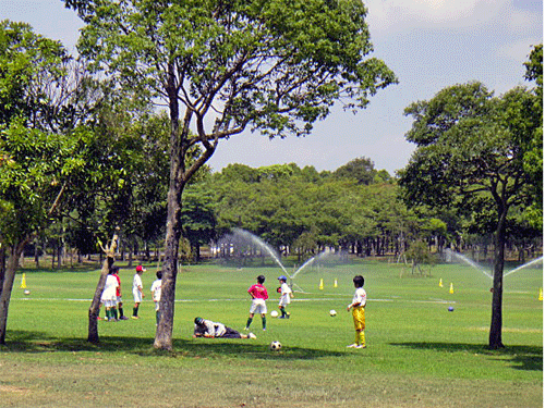 b0108100_11571021.gif