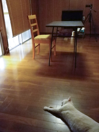 f0239100_2293134.jpg