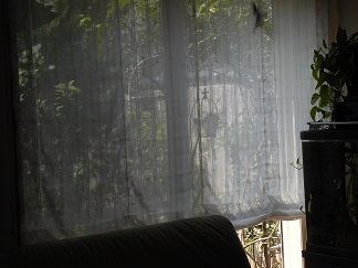 c0152002_920010.jpg
