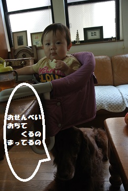 a0134004_994640.jpg