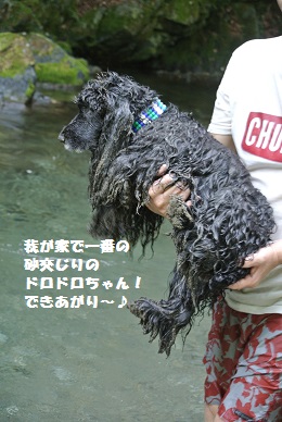 a0134004_995941.jpg