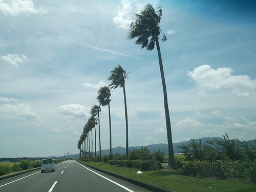 b0247408_2310228.jpg