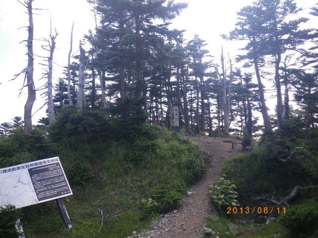 d0006512_11222578.jpg