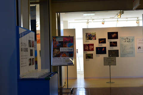 f0046614_1625697.jpg