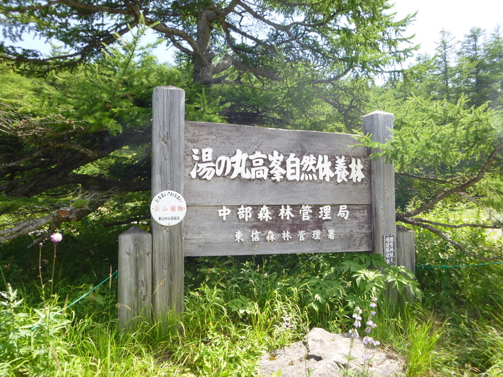 d0170615_8121997.jpg