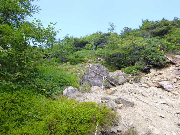 d0170615_812421.jpg