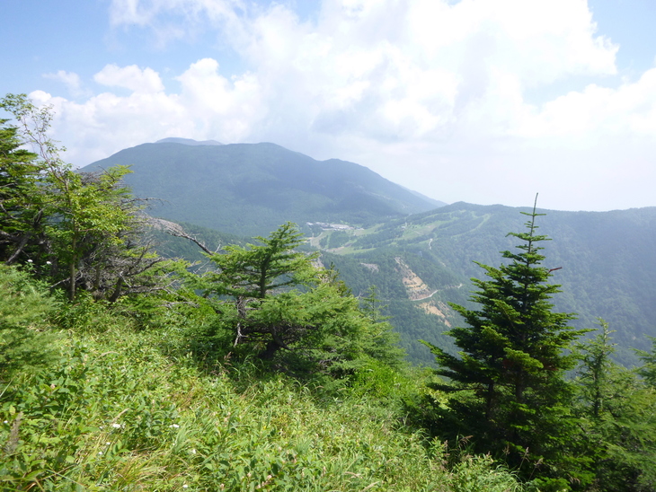 d0170615_8125544.jpg