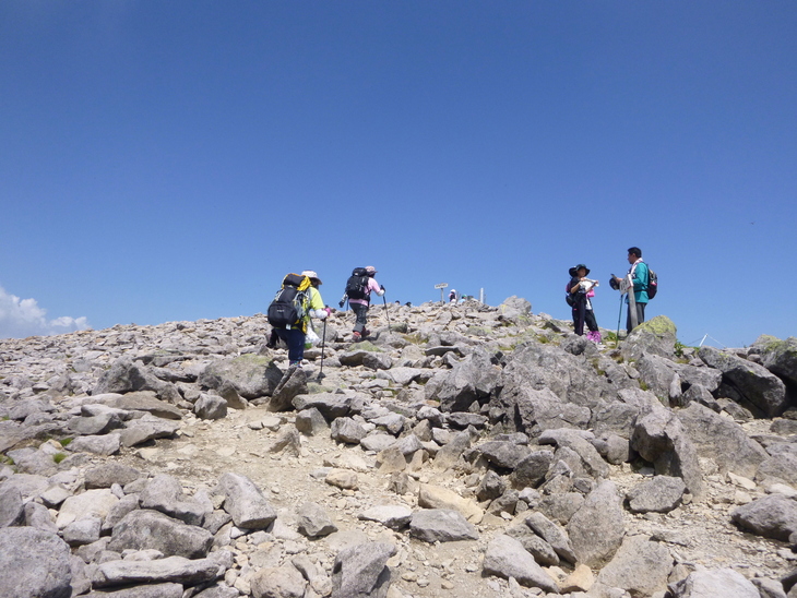 d0170615_8132120.jpg