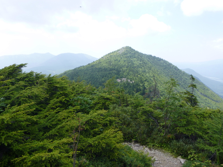 d0170615_8151752.jpg