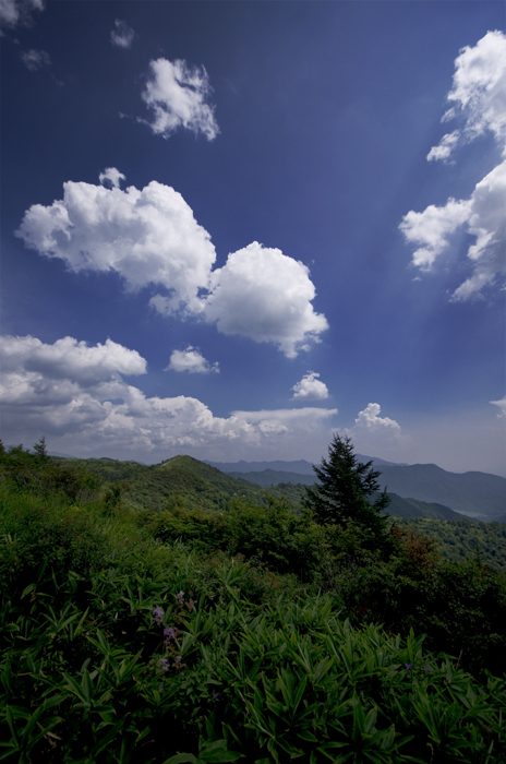 a0066720_21415848.jpg