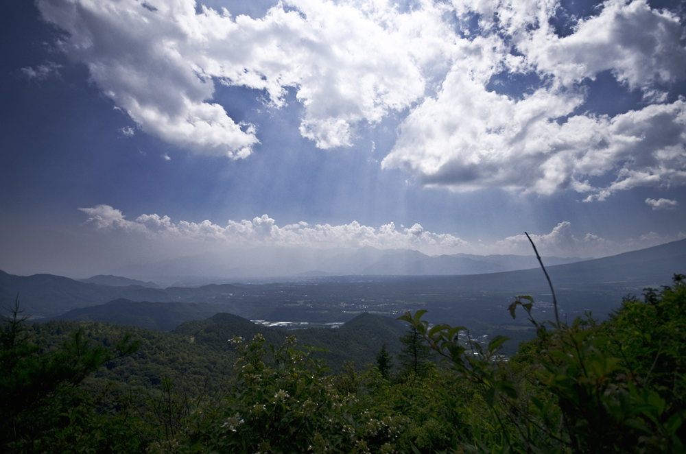 a0066720_21424471.jpg