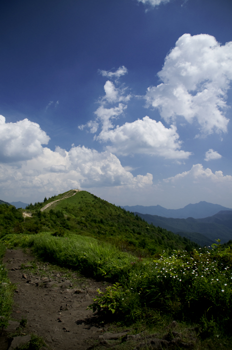 a0066720_21425110.jpg
