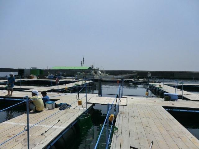 f0186021_958258.jpg