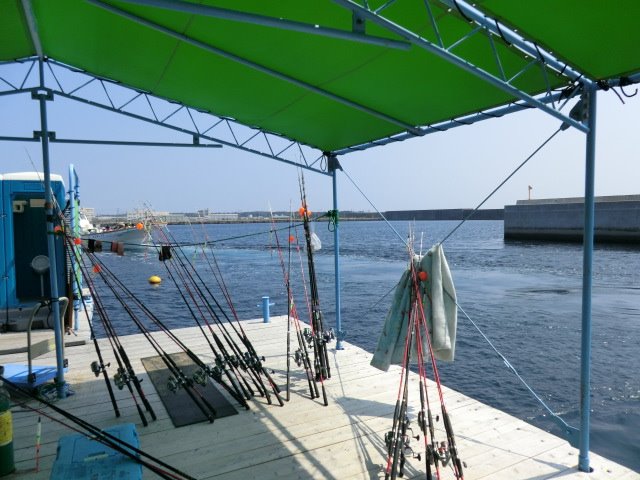 f0186021_9583568.jpg