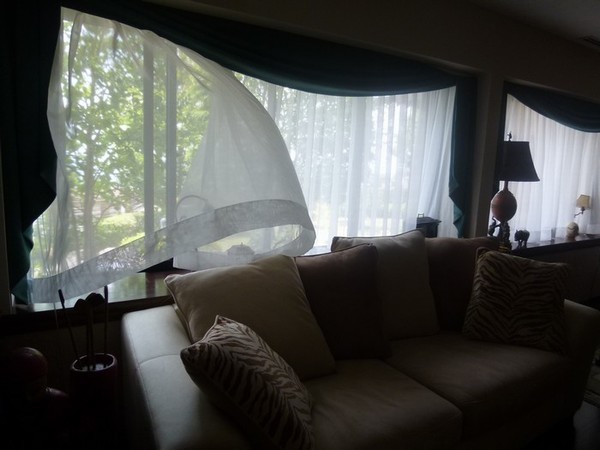c0013922_1735976.jpg
