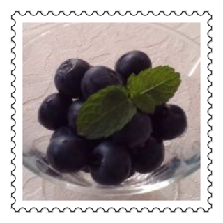 d0026822_11425192.png
