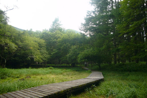 a0226627_17571033.jpg