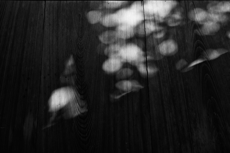 c0198227_1315633.jpg
