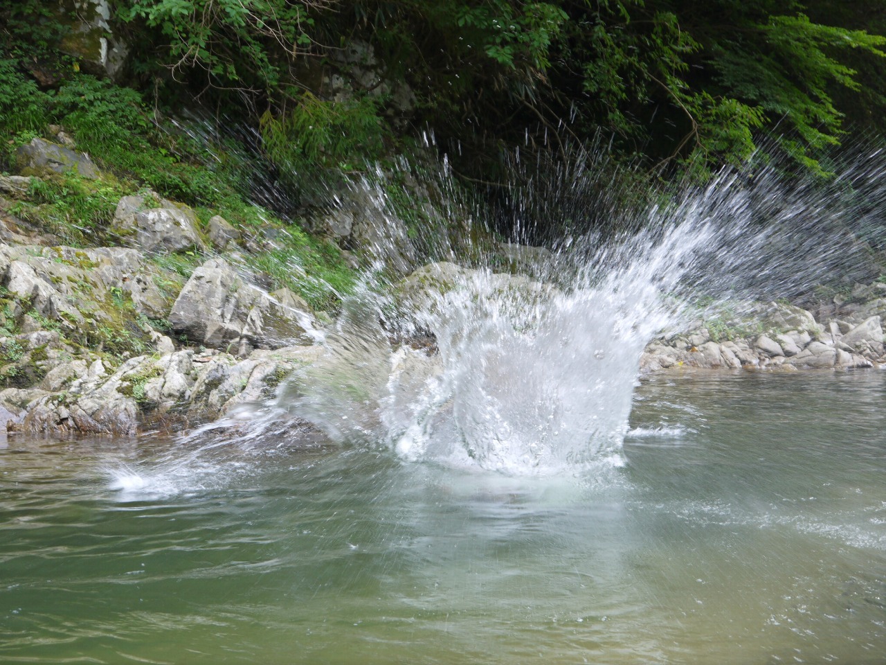 b0127531_15352469.jpg