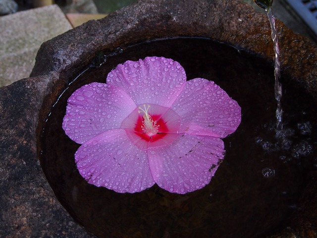 a0280635_16574399.jpg
