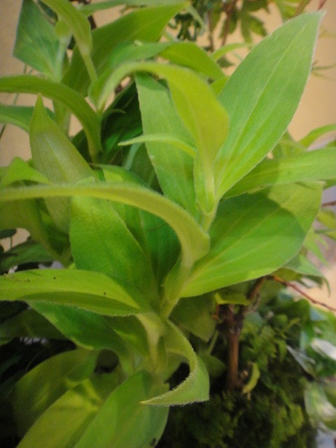 f0208737_8294789.jpg