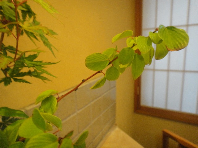 f0208737_8301631.jpg