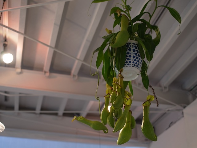 d0029840_1418565.jpg