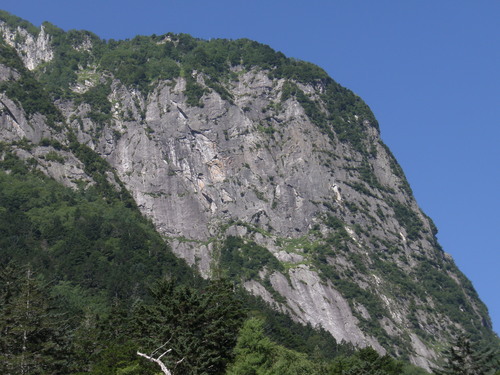 a0289641_1440019.jpg