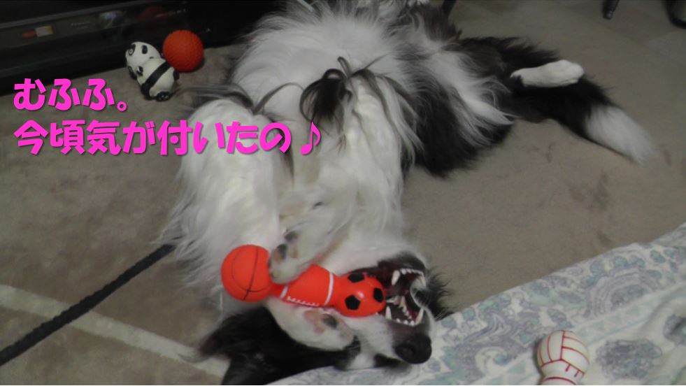 c0147241_10363399.jpg
