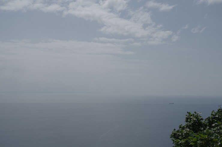 d0165741_14283684.jpg