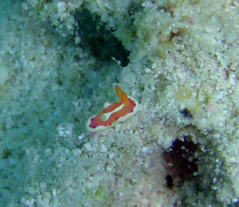 f0014842_194932.jpg
