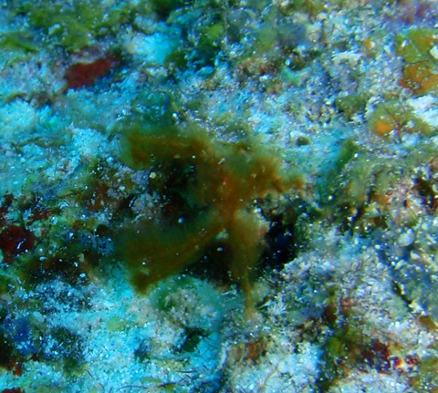 f0014842_19502865.jpg