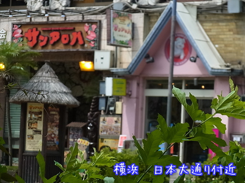 b0133752_1143204.jpg