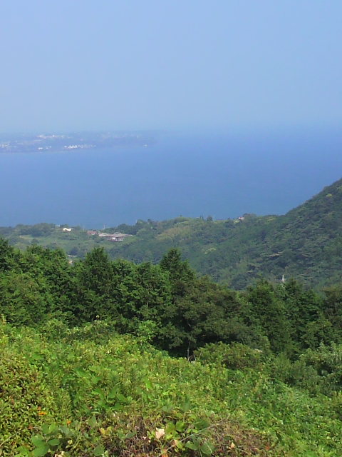 c0206352_19512225.jpg