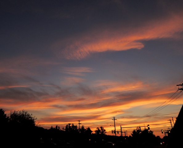 b0173754_728866.jpg