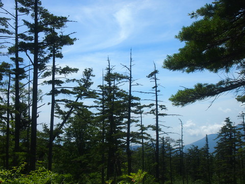 b0268454_1781811.jpg
