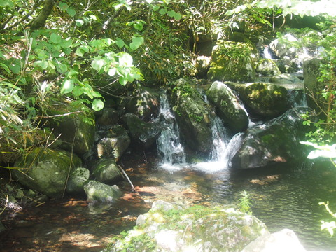 b0268454_1784644.jpg