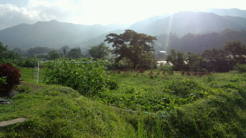 a0212656_18484349.jpg