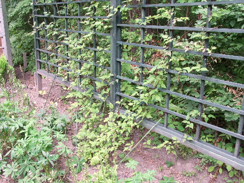 e0088260_22494444.jpg
