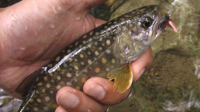 b0208961_1713129.jpg