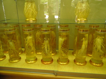 f0169661_2029045.jpg
