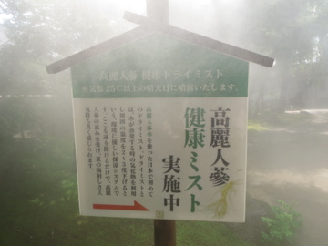 f0169661_21332.jpg