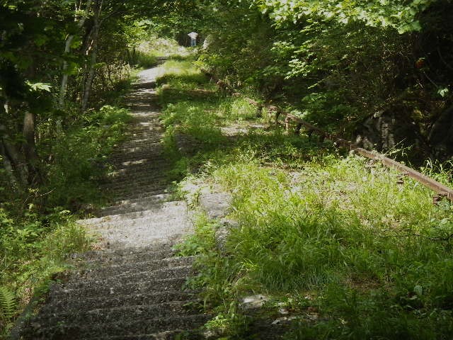 d0010065_16311324.jpg