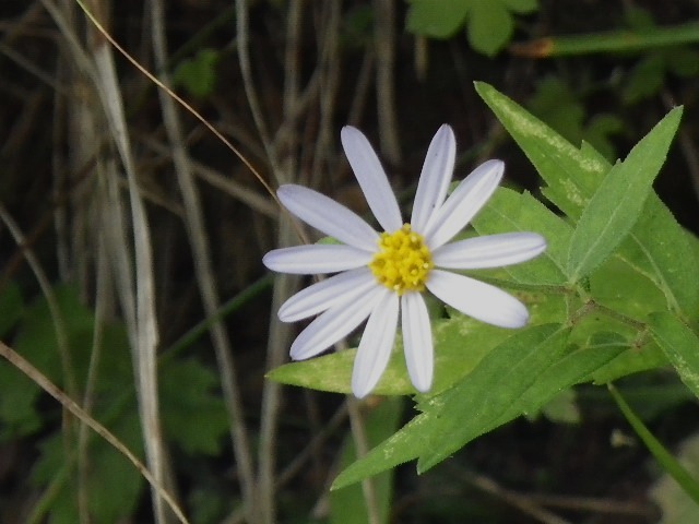 d0010065_1631474.jpg