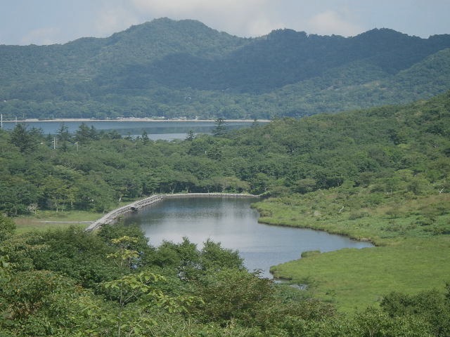 d0010065_16315772.jpg